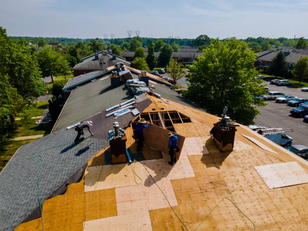 Best Flat Roof Repair Services  in Wagener, SC