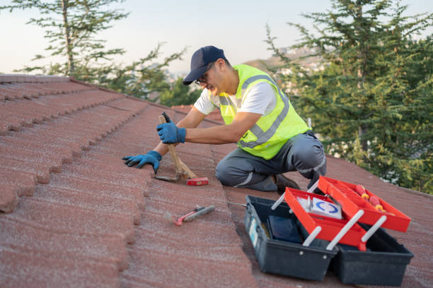 Roof Gutter Cleaning in Wagener, SC